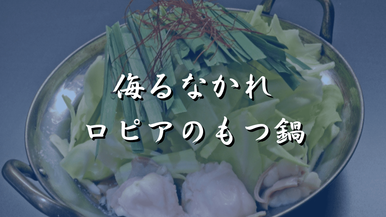 ロピアもつ鍋